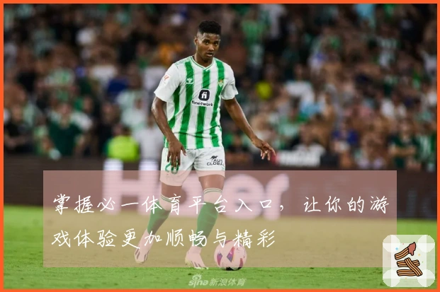 掌握必一体育平台入口，让你的游戏体验更加顺畅与精彩