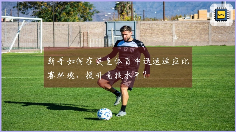 新手如何在英皇体育中迅速适应比赛环境，提升竞技水平？